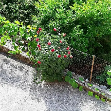 Apartments Parapid Budva Exterior photo